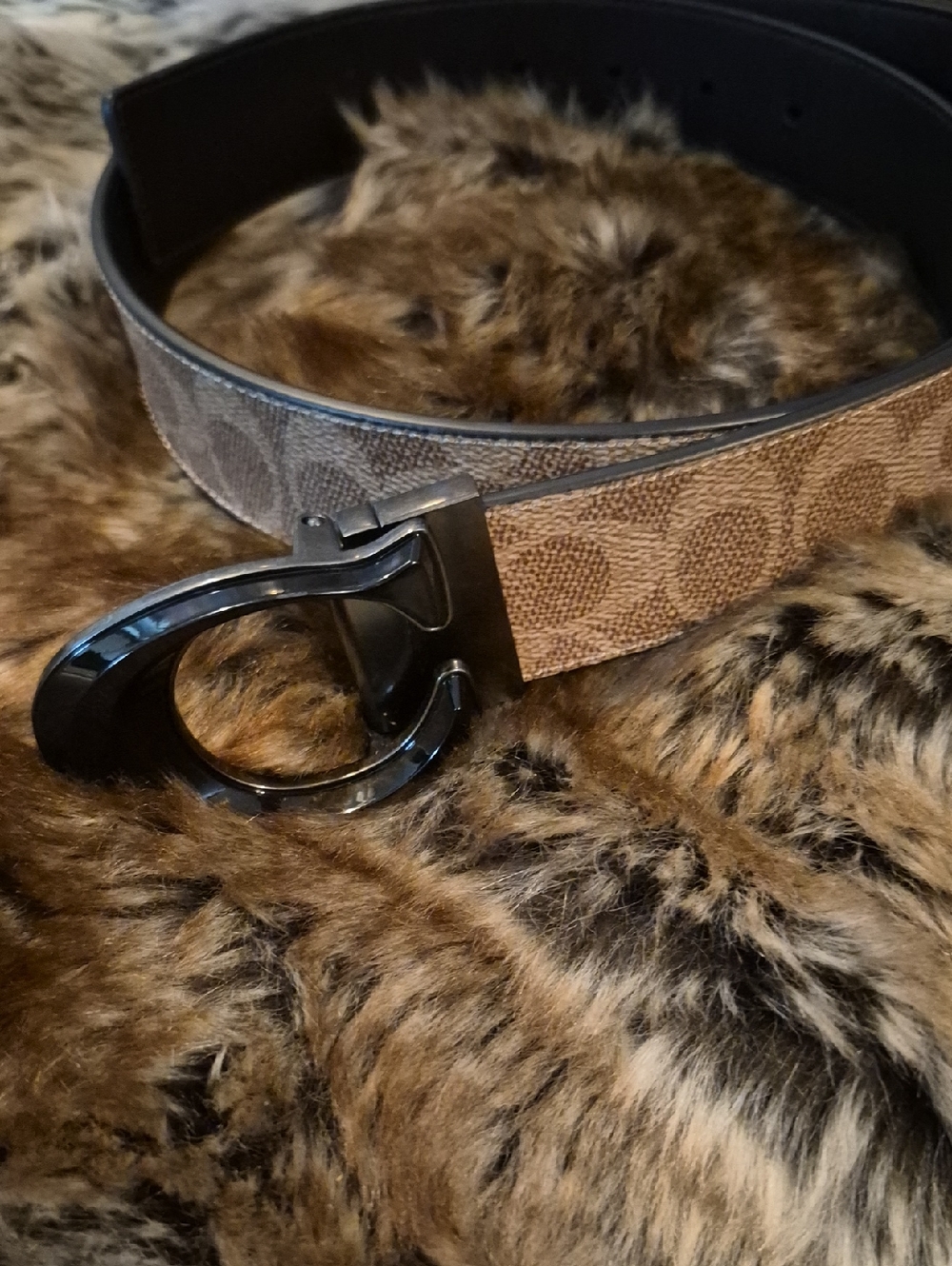 Coach Men’s Signature Canvas Belt in Brown with Black Buckle